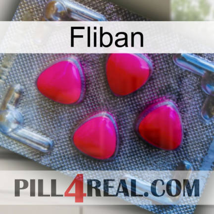 Fliban 13